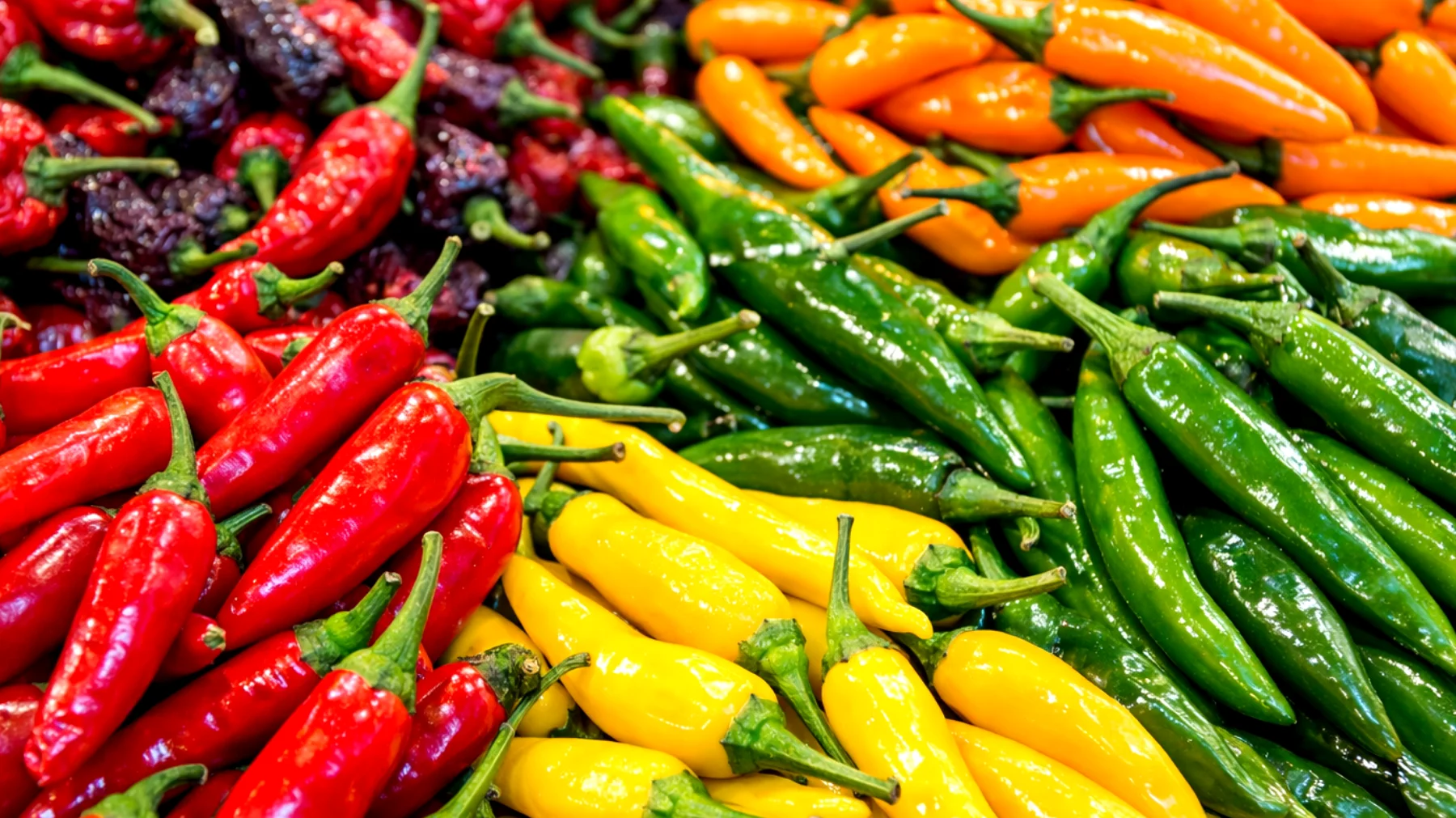 Papryczka chili: jak rozpoznać, czy jest dobrej jakości — praktyczny przewodnik dla domowych kucharzy, który pomoże wybrać najlepsze papryczki chili podczas zakupów, zwracając uwagę na kolor, teksturę, aromat i świeżość, aby mieć pewność, że do domowej kuchni trafia produkt najwyższej jakości."